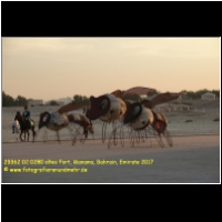 29362 02 0280 altes Fort, Manama, Bahrain, Emirate 2017.jpg